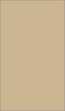 Пушистый ковер MIDI T600 BEIGE